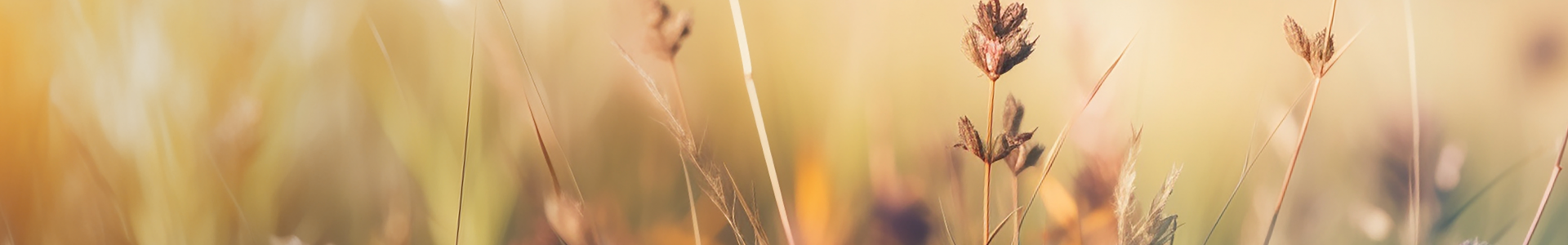 AdobeStock_5938284831